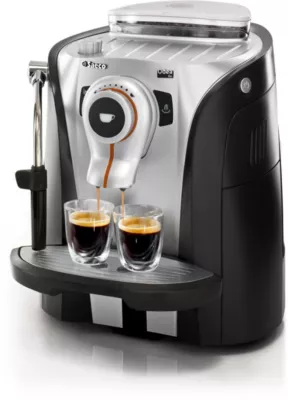 Saeco RI9752/01 Odea Koffie machine onderdelen en accessoires