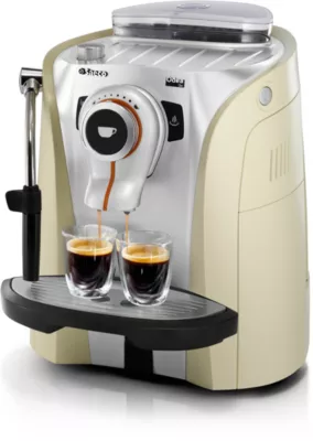 Saeco RI9752/31 Odea Koffie machine onderdelen en accessoires